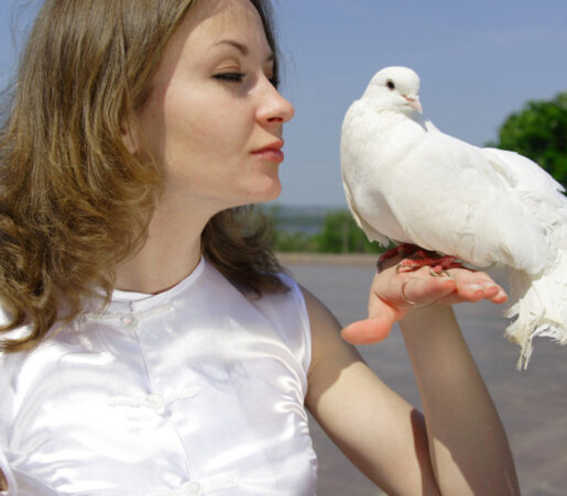 beautiful woman holding a white bird represents peace